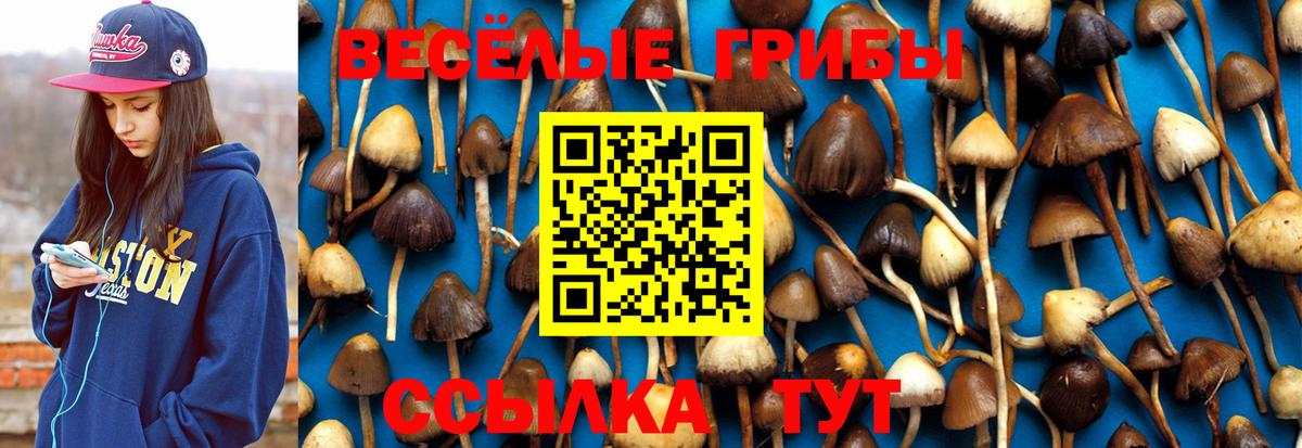 Донецк  Псилоцибиновые грибы мицелий  Вход с VPN 